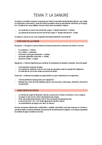 TEMA-7.pdf