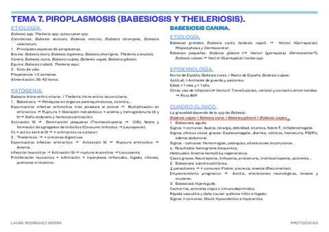 7.-PIROPLASMOSIS.pdf.pdf