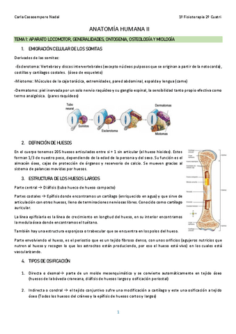 ANATOMIA-HUMANA-II.pdf