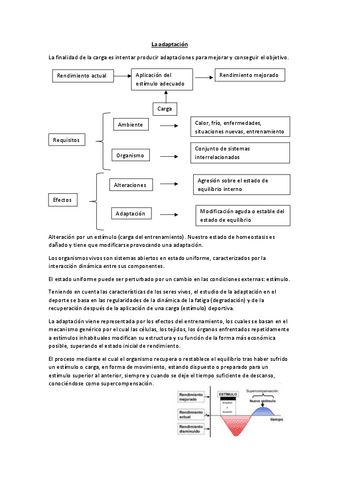 3.-La-adaptacion.pdf