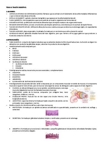 TEMA-6-CITO-GENE.pdf