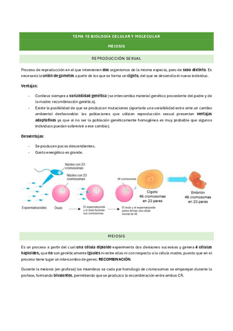 tema-15-biologia-celular-y-molecular.pdf