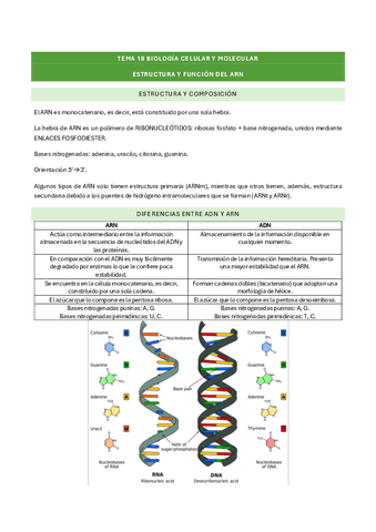 tema-18-biologia-celular-y-molecular.pdf