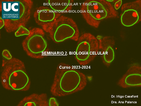 Seminario-2.-Citologia.pdf