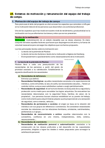 U5.-Sistemas-de-motivacion-y-remuneracion-del-equipo-del-trabajo-de-campo..pdf