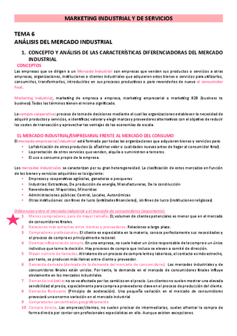 TEMA-6-MARKETING-INDUSTRIAL-Y-DE-SERVICIOS.pdf