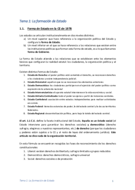 TEMA 1.pdf