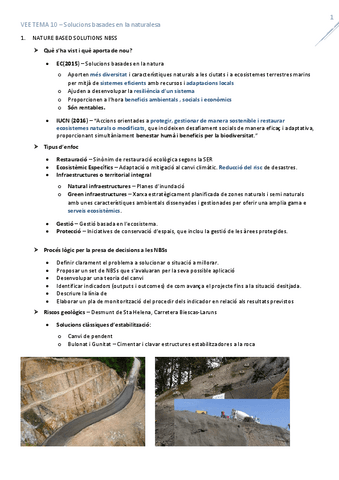 T10NatureBasisSolutions.pdf