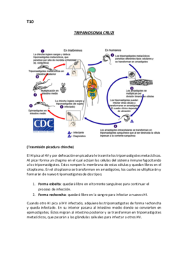 Ciclos biológicos.pdf