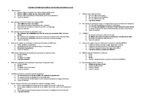 examenMOSTRA1.docx.pdf