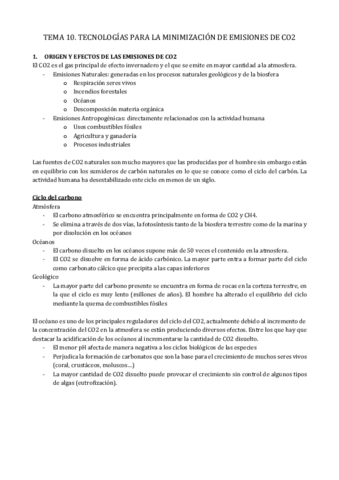 TEMA-10.pdf