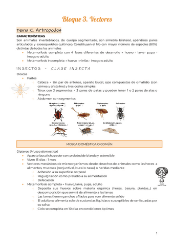 Tema-10.-Artropodos.pdf