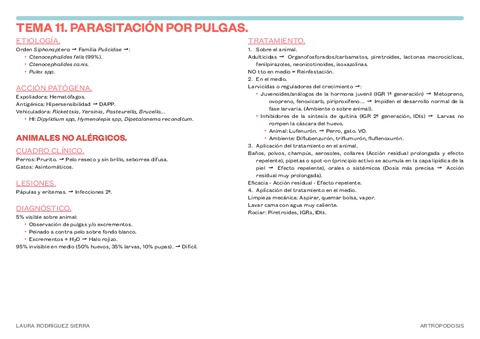 11.-PARASITACION-POR-PULGAS.pdf.pdf