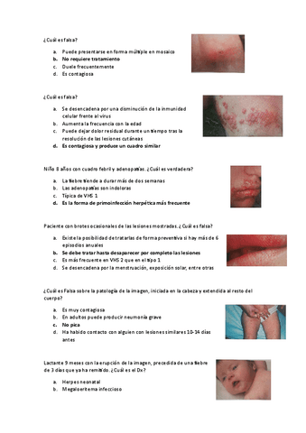 C6.-Respuestas-Viriasis.pdf