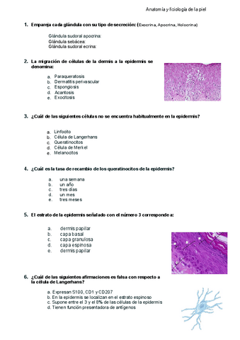 C1.-Anatomia-y-fisiologia-piel.pdf