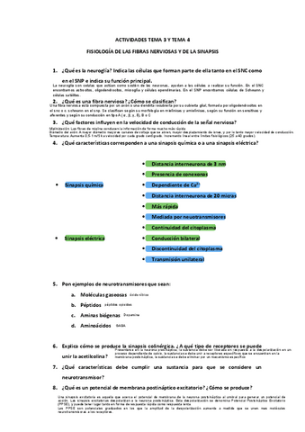 Actividades-TEMA-3-y-TEMA-4.pdf