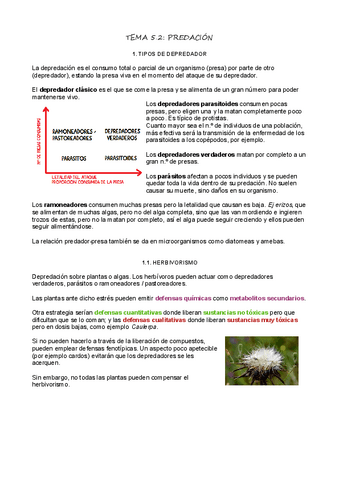 T5_2_Predación.pdf