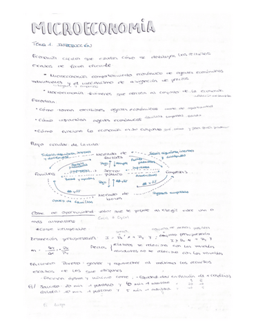 apuntes-micro.pdf