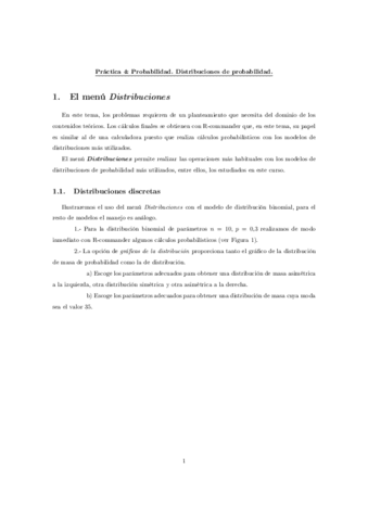 practica42019.pdf