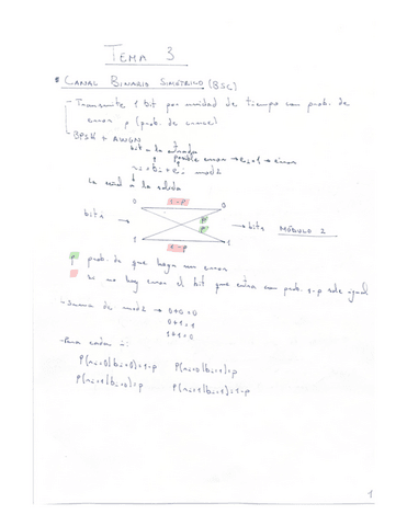 TEMA 3 + PROBLEMAS.pdf