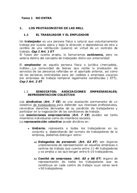 TEMARIO COMPLEO DERECHO DEL TRABAJO.pdf