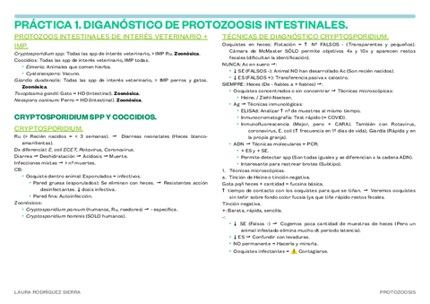 PRACTICAS.pdf