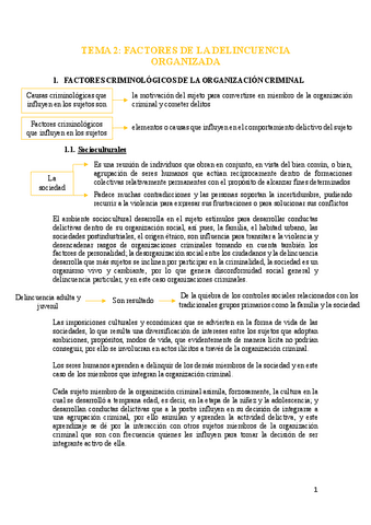 tema-2-delincuencia-organizada.pdf