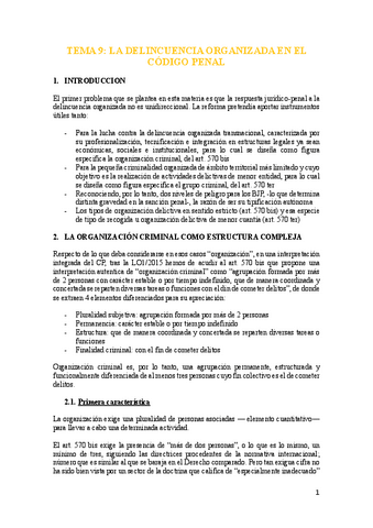 tema-9-delincuencia-organizada.pdf