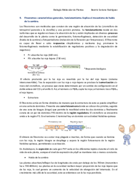 Preguntas examen 9-17 Beatriz Soriano.pdf
