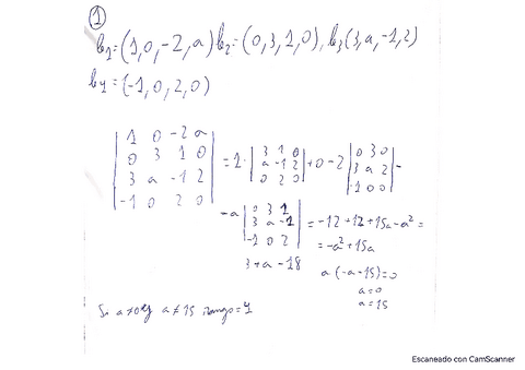 ejemplo-algebra.pdf