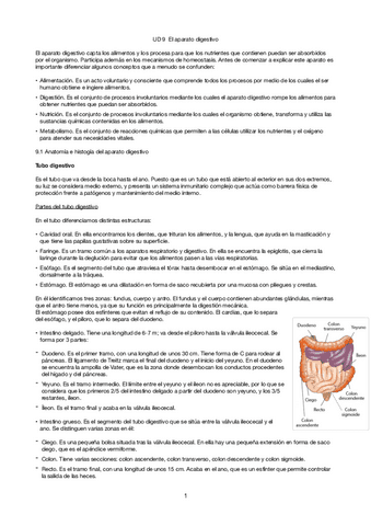 Tema-9-aparato-digestivo.pdf