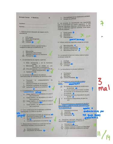 Parcial-1.pdf