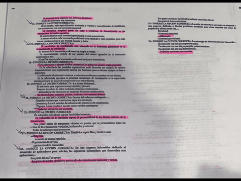 IMG4351.png
