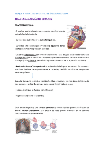 BLOQUE-3-TODO.pdf
