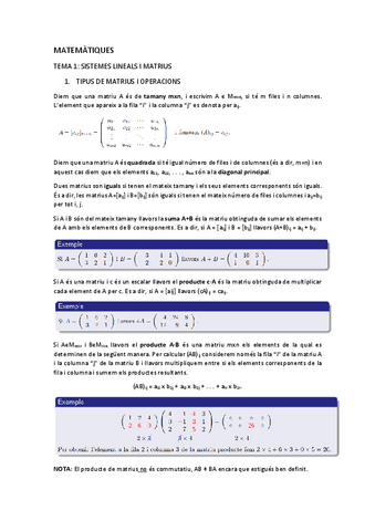 MATES-Tema-1-Sistemes-lineals-i-matrius.pdf