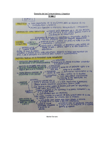 ESQUEMA-TEMA-2-CONSUMIDORES.pdf