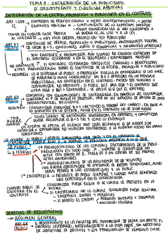 ESQUEMA-TEMA-3-CONSUMIDORES.pdf