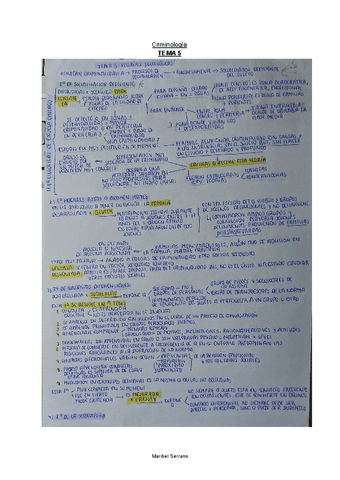 ESQUEMA-TEMA-5-CRIMINOLOGIA.pdf