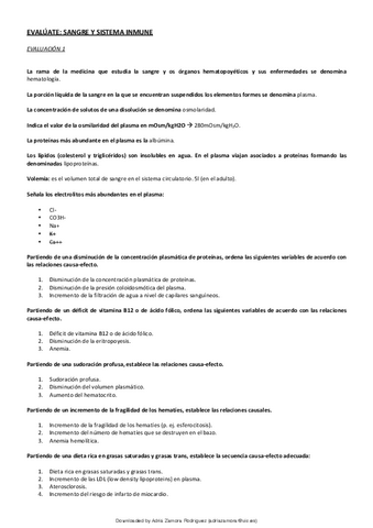 Autoevaluaciones-online-2o-semestre.pdf