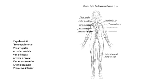 Ilustraciones-examen-final-Respuestas.pdf