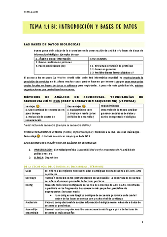 BI-RESUMEN-1.1.pdf