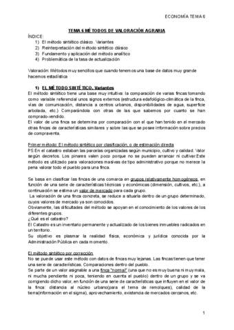 ECONOMiA-TEMA-6.pdf