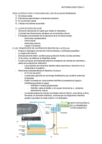 MICROBIOLOGIA-TEMA-2.pdf