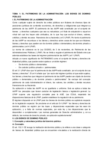 TEMARIO DERECHO ADMINISTRATIVO V.pdf