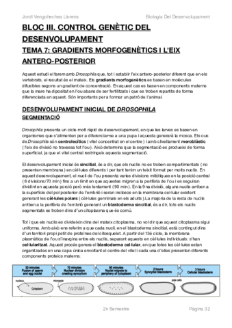 BIOLOGIA DEL DESENVOLUPAMENT -COMPLET-BLOC III.pdf