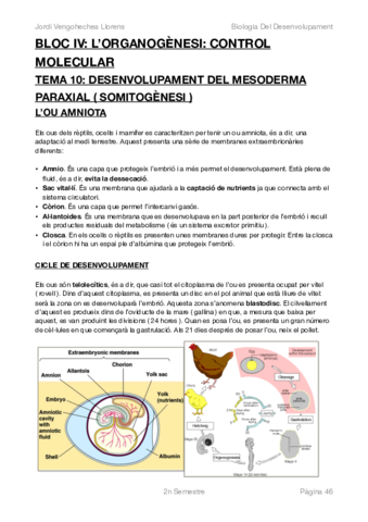 BIOLOGIA DEL DESENVOLUPAMENT -COMPLET-BLOC IV.pdf
