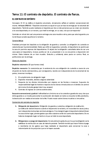 Tema-11.pdf
