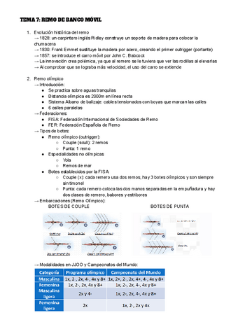 TEMA-7-DM.pdf