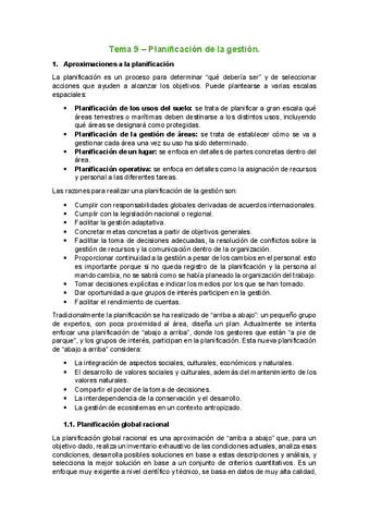 Tema-9-Planificacion-de-la-gestion.pdf