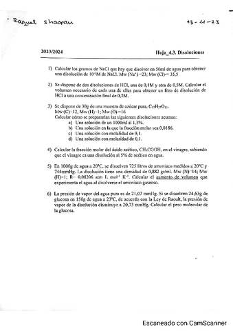 Ejercicios-t4.disoluciones-resuletos.pdf